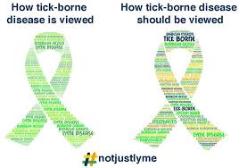 Tick Borne Disease Is Not Just Lyme University Of Jyvaskyla