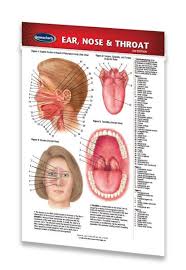 Details About Ear Nose Throat Medical Pocket Chart Quick Reference Guide