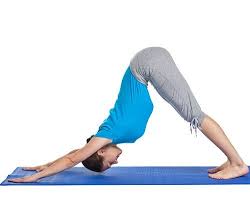 Pin On Yoga