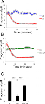 نتیجه جستجوی لغت [acidify] در گوگل