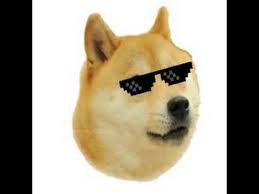 Roblox decal ids & spray paint codes. Where Is The Doge Hat Roblox Doge Codes Youtube