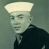 James Allen Hammer Obituary