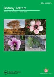 Image result for Polyphlebium borbonicum