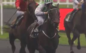 Prix De L Ile De France 2020 A Vincennes Et La Victoire De Bilibili Monte Par Alexandre Abrivard Hippique Courses Hippiques Vincennes