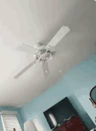 A fullscreen presentation or slide show of reddit. Hanging From Ceiling Fan Gif Insteon Fan Control