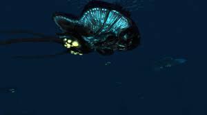Reefback Leviathan | Wiki | Subnautica Amino