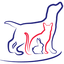 Patrick's old cathedral in lower manhattan invites you into the catacombs, allowing you to see its pipe organ and. Colyton Veterinary Hospital 81 Great Western Highway Oxley Park Reviews And Appointments Topvet
