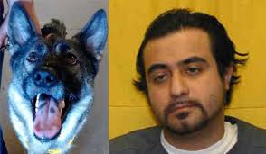 Warren Co. inmate indicted for killing shelter companion dog in prison cell