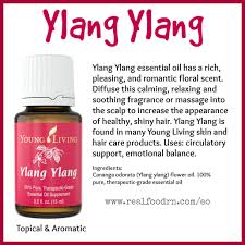 Ylang ylang's benefits are legendary for both skin and hair. Ylang Ylang Essential Oil Real Food Rn Ylang Ylang Essential Oil Essential Oils Essential Oil Treatments