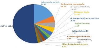 Image result for Strombosiopsis tetrandra