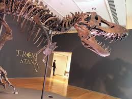 For the time being, the. A T Rex Sold For 31 8 Million And Paleontologists Are Worried Science Smithsonian Magazine