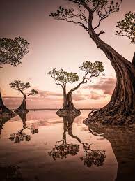 The Astonishing Winners Of The 2020 Sony World Photography Awards Best Landscape Photography World Photography Photography Awards