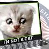 Judge roy ferguson's warning comes after an attorney accidentally joined a tuesday video conference of a civil forfeiture court hearing while using a zoom filter that made him appear like a fluffy white kitten. Https Encrypted Tbn0 Gstatic Com Images Q Tbn And9gcsahm3a3s1yxl6cdbzbwym Ufekobznmqrp8dxblvv8b0omxr3m Usqp Cau