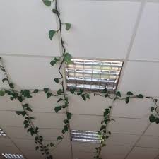 See more ideas about green aesthetic, soft green, mint green aesthetic. Aesthetic Green And Light Image 3117055 On Favim Com