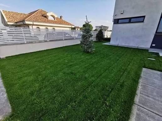 Experiență client cu RootClean™
