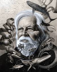 A Million Tiny Lines