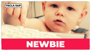 NEWBIE? Qual é o significado e a tradução da gíria?