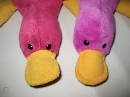 Parity Magenta Platypus Beanie Baby Up To 66 Off