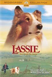 Image result for lassie