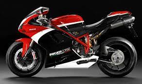 Pin On Duc
