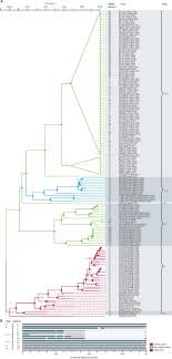 Africans before the atlantic slave trade. Enzootic Patterns Of Middle East Respiratory Syndrome Coronavirus In Imported African And Local Arabian Dromedary Camels A Prospective Genomic Study The Lancet Planetary Health