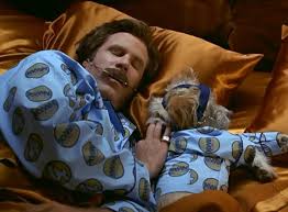 Will Ferrell Know Your Meme
