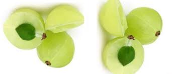 benefits of indian gooseberry amla fruit for skin pocket news alert indian gooseberry amla fruit for skin