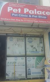 Blue cross pet hospital ⭐ , ⓜ north hollywood station, united states of america, state of california, los angeles, tujunga avenue: Pune Pets For Sale In Pune Pet Shops In Pune Pet Stores In Pune Buy Pets In Pune Pet Products In Pune Pet Product Suppliers In Pune Pet Stores In Pune Pet Animals For Sale In Pune Pet