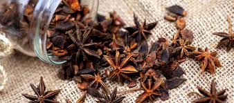 Bunga ini sering dijadikan sebagai pajangan di pekarangan rumah karena memiliki warna mahkota mencolok nan silahkan pilih jenis nama bunga yang paling disukai untuk dijadikan sebagai hiasan maupun pajangan di rumah. Terkini Budidaya Bunga Lawang