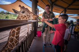 Zoo Tours | Behind-the-Scenes, Animal Experiences & Encounters | Hogle Zoo