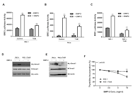 Ruled by the moon, cancer's element is water, the second heaviest element, thought by ancient astrologers to be the fluid, adaptive, yet a tangible form of matter. Cancers Free Full Text Trkb Inhibits The Bmp Signaling Mediated Growth Inhibition Of Cancer Cells