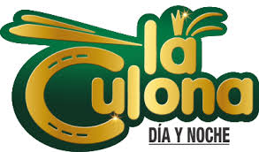 Seco de 20 millones : Resultados Chance I Sorteo La Culona Loterias Y Sorteos