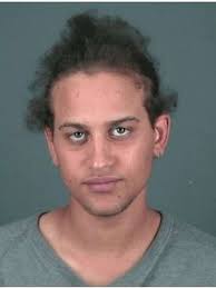 Brazen' burglar admits Albany break-ins