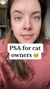 Cat Covered in Pollen