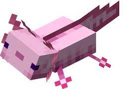 Enchant your fishing rod for even more fun. Axolotl Minecraft Wiki