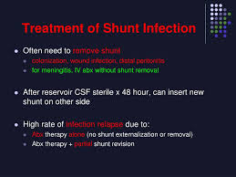 Ppt Vp Shunts Powerpoint Presentation Free Download Id 3387790