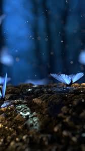 Blue Butterfly Wallpaper Mobile In 2020 Blue Butterfly Wallpaper Butterfly Wallpaper Cute Wallpaper Backgrounds