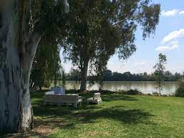 Maybe you would like to learn more about one of these? El Esturion Restaurant Coria Del Rio Sevilla Guadalquivir Spain