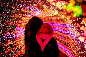 The Missouri Botanical Garden Glow Is Transformed Into A Winter Wonderland During The Holiday Season It Features Inter Missouri Botanical Garden Missouri Trip