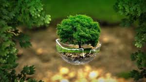 Visita el sitio web del día mundial del medio ambiente. Dia Mundial Del Medio Ambiente 2020 Resumen Medidas Y Tips Union Guanajuato