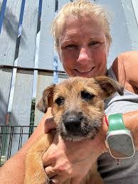 Fern Cleary's Instagram, Twitter & Facebook