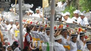 Dilansir india today, monyet itu terlihat beberapa kali mencoba menghibur beberapa anggota keluarga yang sedang berduka sebelum kemudian berjalan keluar meninggalkan upacara kematian menurut penuturan warga, monyet tersebut dikabarkan juga mendatangi sejumlah upacara kematian lainnya. 13 Upacara Yang Mesti Dilaksanakan Orang Bali Dari Dalam Kandungan Hingga Meninggal Tribun Bali