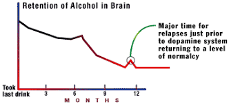 stairway to addiction differences in tolerance