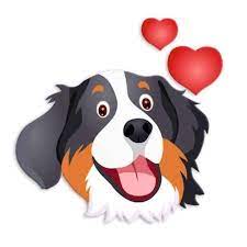 Epingle Par Isabelle Roustan Sur Berner Sennenhond Bernese Mountain Dog Chien Bouvier Dessin Chien Bouviers Bernois