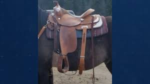 Horse saddles stolen from Logan Lake property