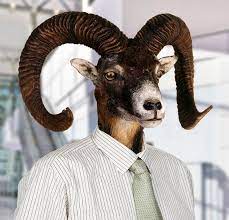 Although his origins are unknown, the most popular origin story is that he hadonce been a scientist who worked at beltsville agriculture research center, who experimented on goats. Goatman Is Hairy Horny And This Bah H Hdass Won T Go Away Huffpost