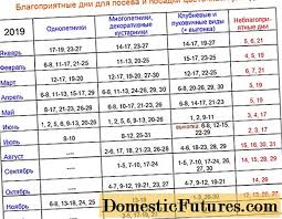 Zodiile care te vând fără regrete. Calendarul Florariei Pentru Septembrie 2019 Flori De Interior Èi De GrÄdinÄ Lucrul Intr O GrÄdinÄ De Flori Intr Un Pat De Flori Ingrijire Plantarea Bulbilor Divizare Transplantare Treaba Prin Casa 2021