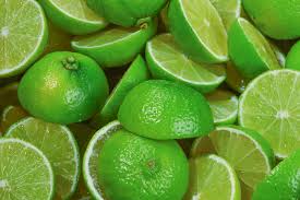 Sie kaufen 6 key lime tree cuttings. Difference Between Limes Key Limes