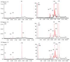 Image result for Monodora minor