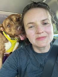 Meet Dwayne! This hunk of love is Dwayne, and he's been waiting patiently  at PACC since October 30, 2024. With the shelter extremely overcrowded  right now, amazing dogs like Dwayne are at